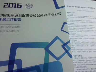 標(biāo)準(zhǔn)引領(lǐng)，智啟未來 李德偉出席2017年管理咨詢與培訓(xùn)服務(wù)標(biāo)準(zhǔn)化研討會(huì)