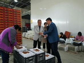 周至縣“優(yōu)質(zhì)服務(wù)提升年”活動(dòng)深入開展 經(jīng)貿(mào)局局長(zhǎng)陳三選走訪聚仙食品并指導(dǎo)文化藝術(shù)交流